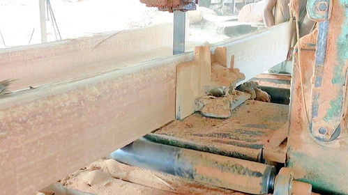 松华木精雕 一次难得的木材加工体验